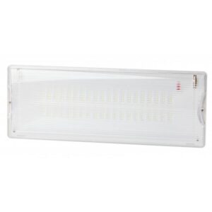 Аварийный светильник светодиодный ЭРА DPA-301-1-65 постоянный 40LED 3ч IP65 купить оптом недорого